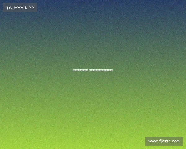 多伦多猛龙队重建之路 从挑战到崛起的关键时刻与未来展望